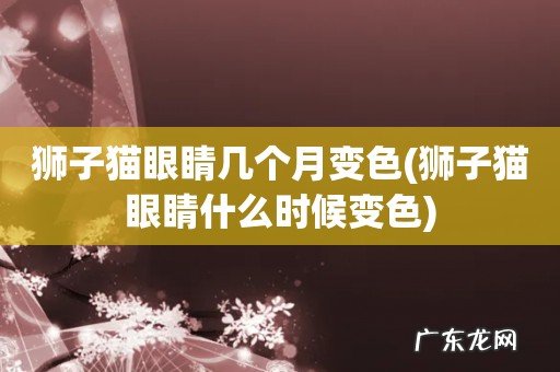 狮子猫眼睛什么时候变色 狮子猫眼睛几个月变色