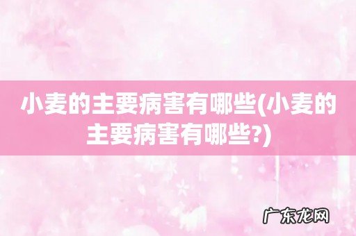 小麦的主要病害有哪些? 小麦的主要病害有哪些