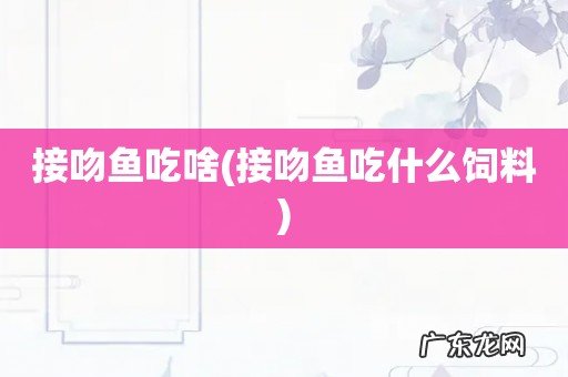接吻鱼吃什么饲料 接吻鱼吃啥