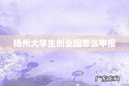 扬州大学生创业园怎么申报