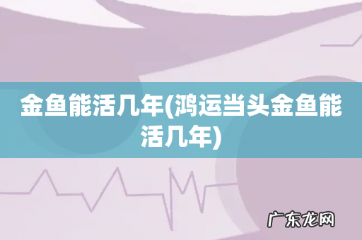 鸿运当头金鱼能活几年 金鱼能活几年