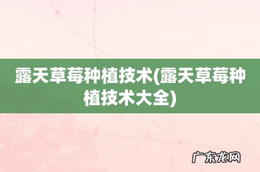 露天草莓种植技术大全 露天草莓种植技术