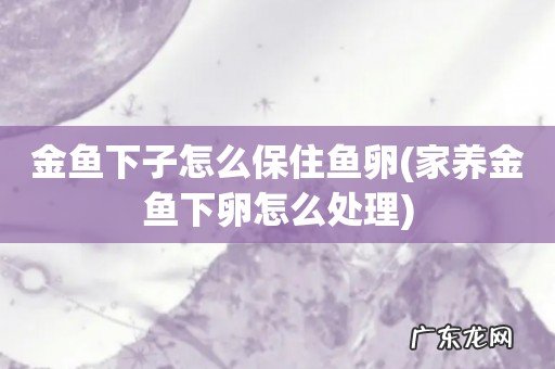 家养金鱼下卵怎么处理 金鱼下子怎么保住鱼卵