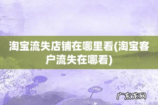 淘宝客户流失在哪看 淘宝流失店铺在哪里看