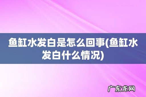 鱼缸水发白什么情况 鱼缸水发白是怎么回事