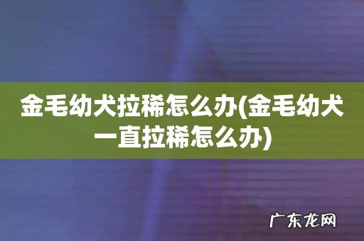 金毛幼犬一直拉稀怎么办 金毛幼犬拉稀怎么办