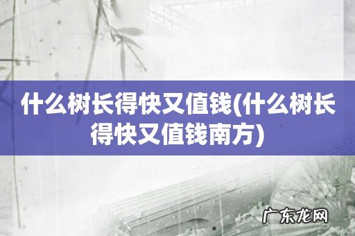 什么树长得快又值钱南方 什么树长得快又值钱