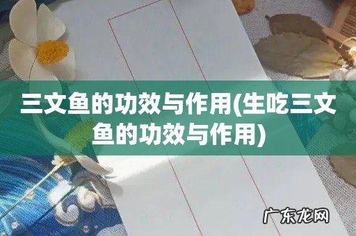 生吃三文鱼的功效与作用 三文鱼的功效与作用