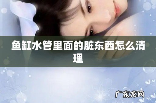 鱼缸水管里面的脏东西怎么清理