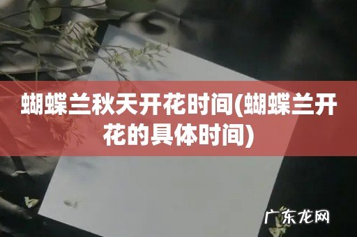 蝴蝶兰开花的具体时间 蝴蝶兰秋天开花时间