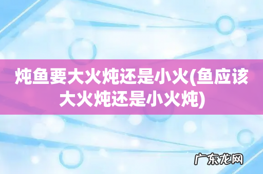 鱼应该大火炖还是小火炖 炖鱼要大火炖还是小火