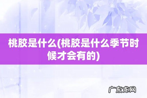 桃胶是什么季节时候才会有的 桃胶是什么