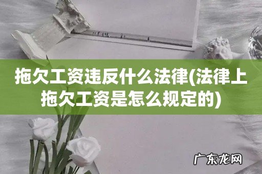 法律上拖欠工资是怎么规定的 拖欠工资违反什么法律