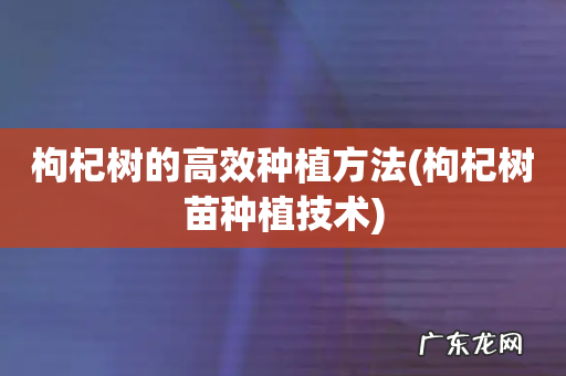 枸杞树苗种植技术 枸杞树的高效种植方法