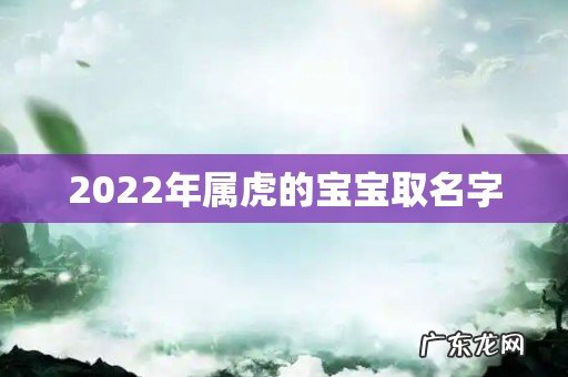2022年属虎的宝宝取名字