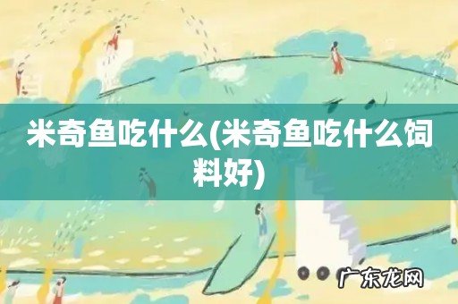 米奇鱼吃什么饲料好 米奇鱼吃什么