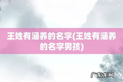 王姓有涵养的名字男孩 王姓有涵养的名字