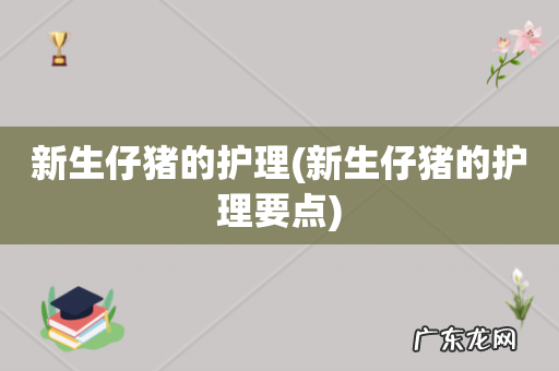 新生仔猪的护理要点 新生仔猪的护理