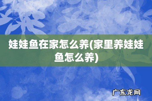 家里养娃娃鱼怎么养 娃娃鱼在家怎么养