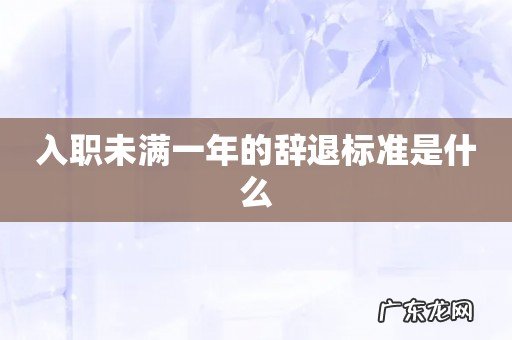 入职未满一年的辞退标准是什么