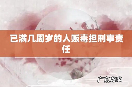 已满几周岁的人贩毒担刑事责任