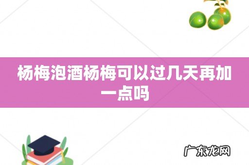 杨梅泡酒杨梅可以过几天再加一点吗