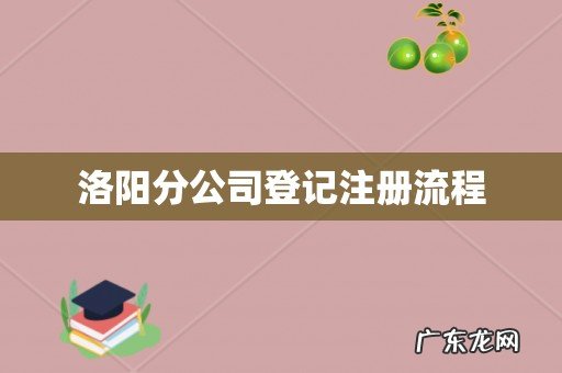 洛阳分公司登记注册流程