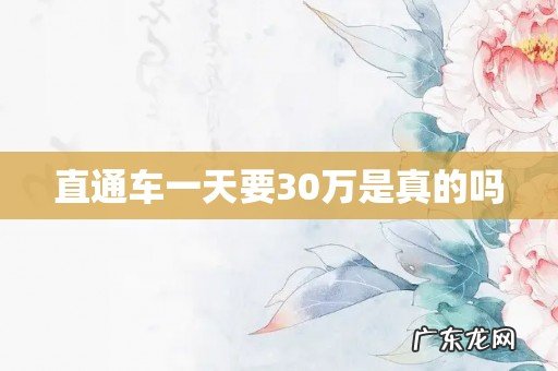 直通车一天要30万是真的吗