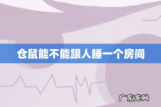 仓鼠能不能跟人睡一个房间