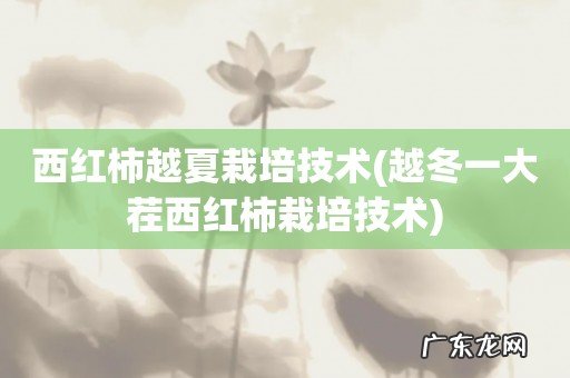 越冬一大茬西红柿栽培技术 西红柿越夏栽培技术