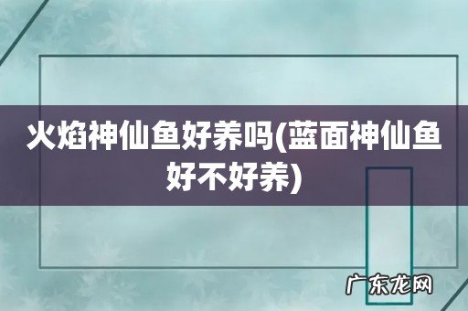 蓝面神仙鱼好不好养 火焰神仙鱼好养吗
