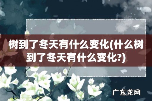 什么树到了冬天有什么变化? 树到了冬天有什么变化