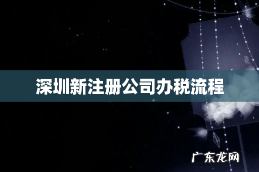 深圳新注册公司办税流程