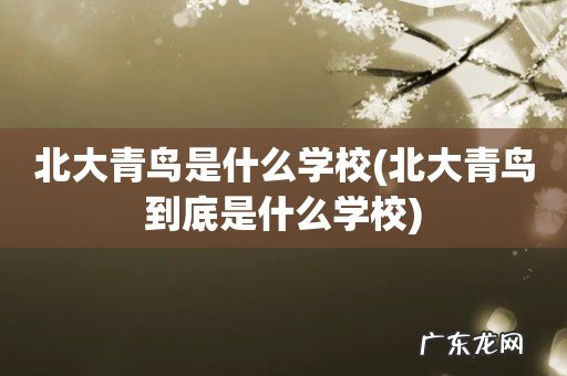 北大青鸟到底是什么学校 北大青鸟是什么学校