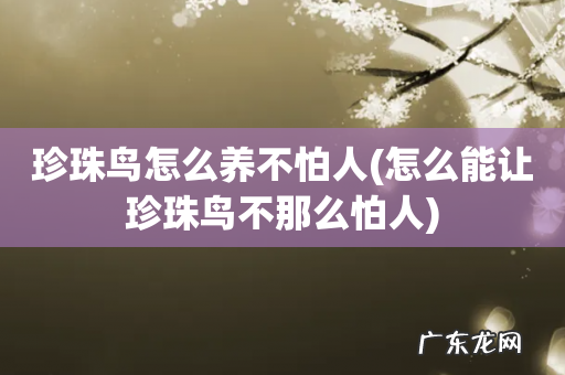 怎么能让珍珠鸟不那么怕人 珍珠鸟怎么养不怕人