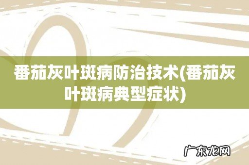 番茄灰叶斑病典型症状 番茄灰叶斑病防治技术