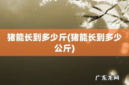 猪能长到多少公斤 猪能长到多少斤
