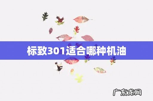 标致301适合哪种机油