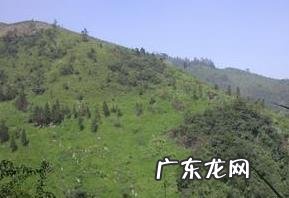 峨眉山玄武岩的主要结构 峨眉山玄武岩的特征