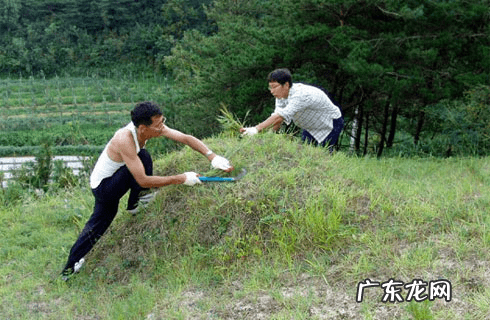 坟前拜台有无尺寸要求 墓地拜台风水