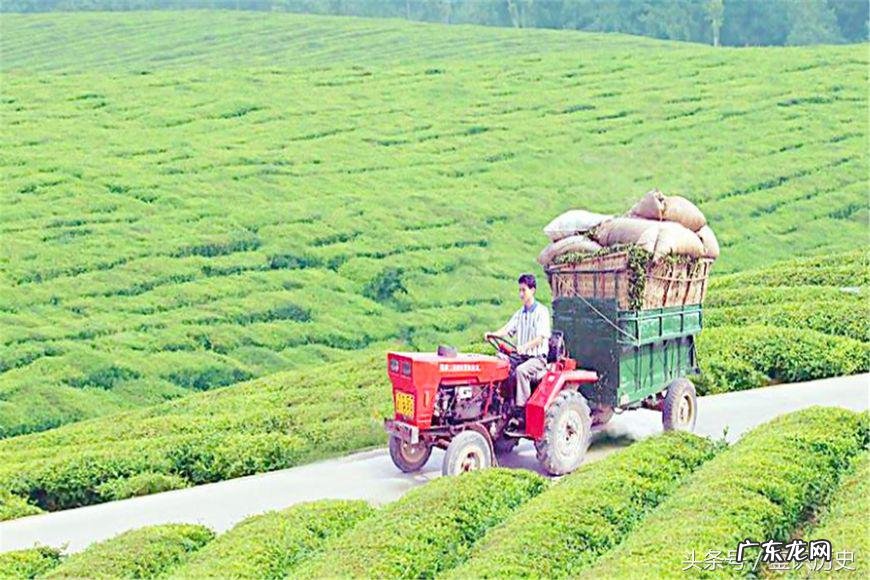 独占山头气势高 房屋对山头风水