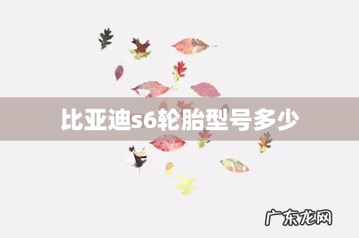 比亚迪s6轮胎型号多少