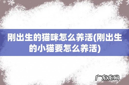 刚出生的小猫要怎么养活 刚出生的猫咪怎么养活
