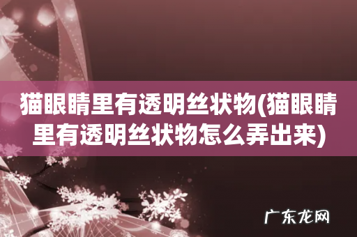 猫眼睛里有透明丝状物怎么弄出来 猫眼睛里有透明丝状物