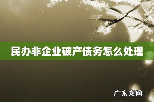 民办非企业破产债务怎么处理