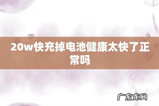 20w快充掉电池健康太快了正常吗