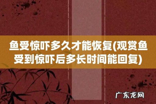 观赏鱼受到惊吓后多长时间能回复 鱼受惊吓多久才能恢复