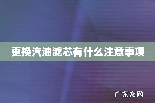 更换汽油滤芯有什么注意事项