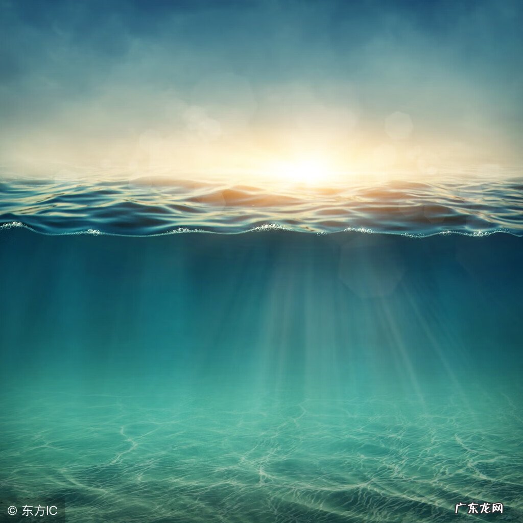 Salaryfly ificouldfly翻译