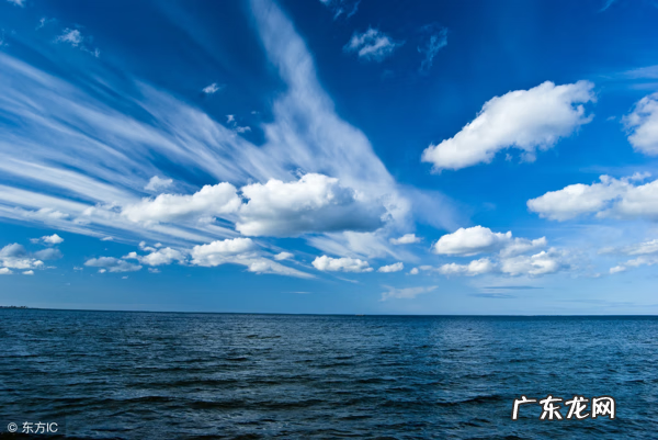 Salaryfly ificouldfly翻译